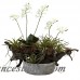 Nearly Natural Orchid and Succulent Garden with Driftwood and Decorative Vase TXN3891